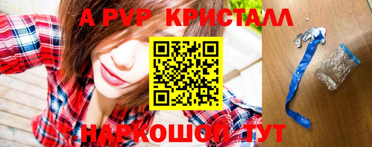 Alfa_PVP СК Королёв