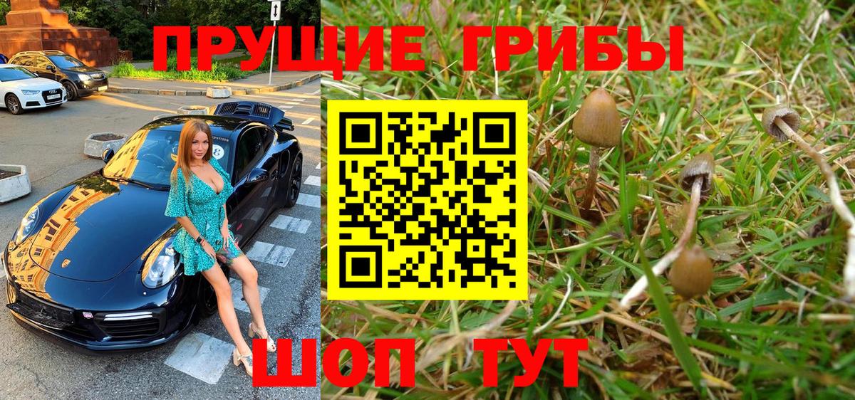 Псилоцибиновые грибы Cubensis  Псилоцибиновые грибы GOLDEN TEACHER  Королёв  Вход с VPN 